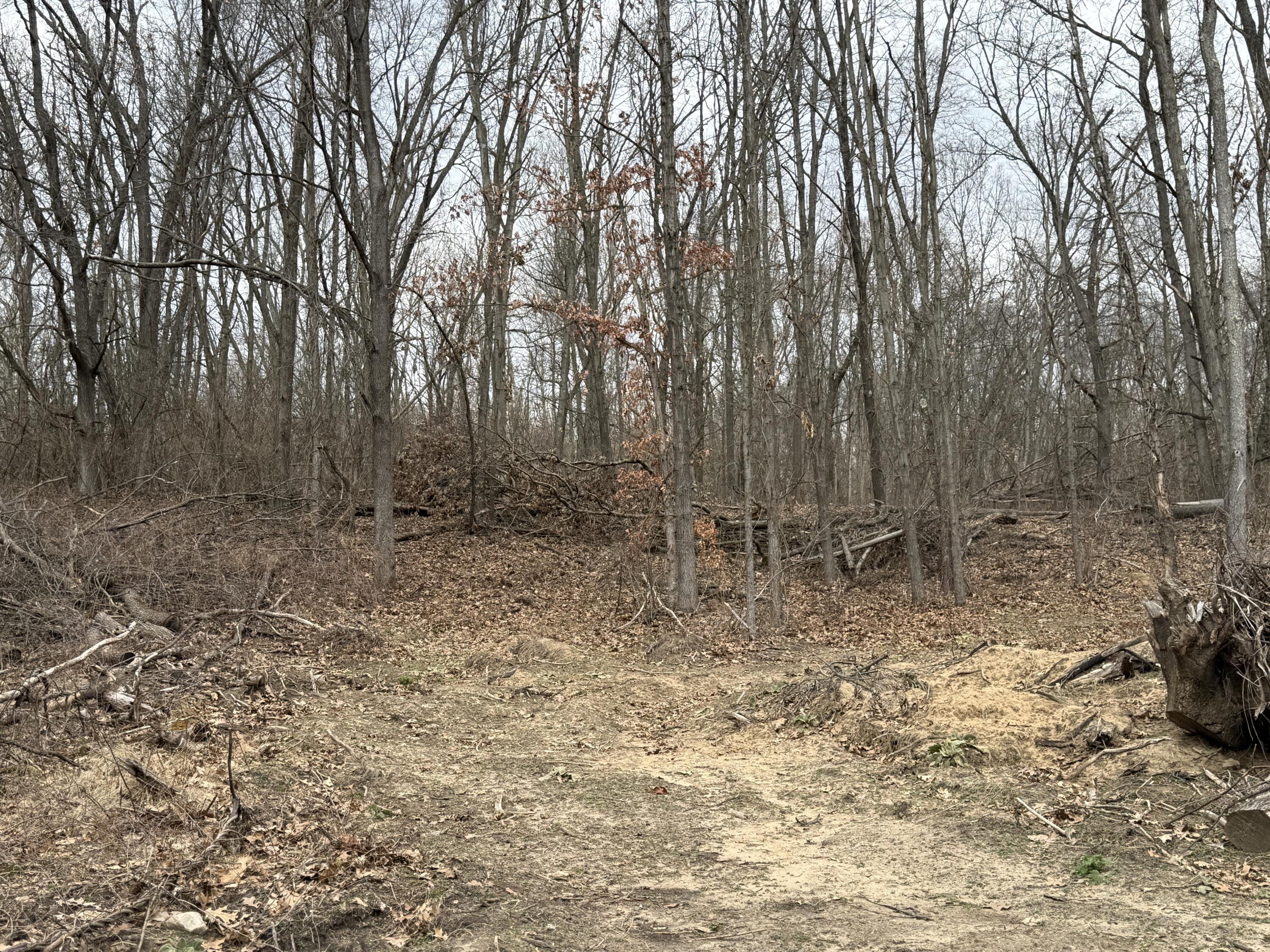 V/l Yawger Road Battle Creek, MI 49017 - Photo 3 of 6 IMG_1313