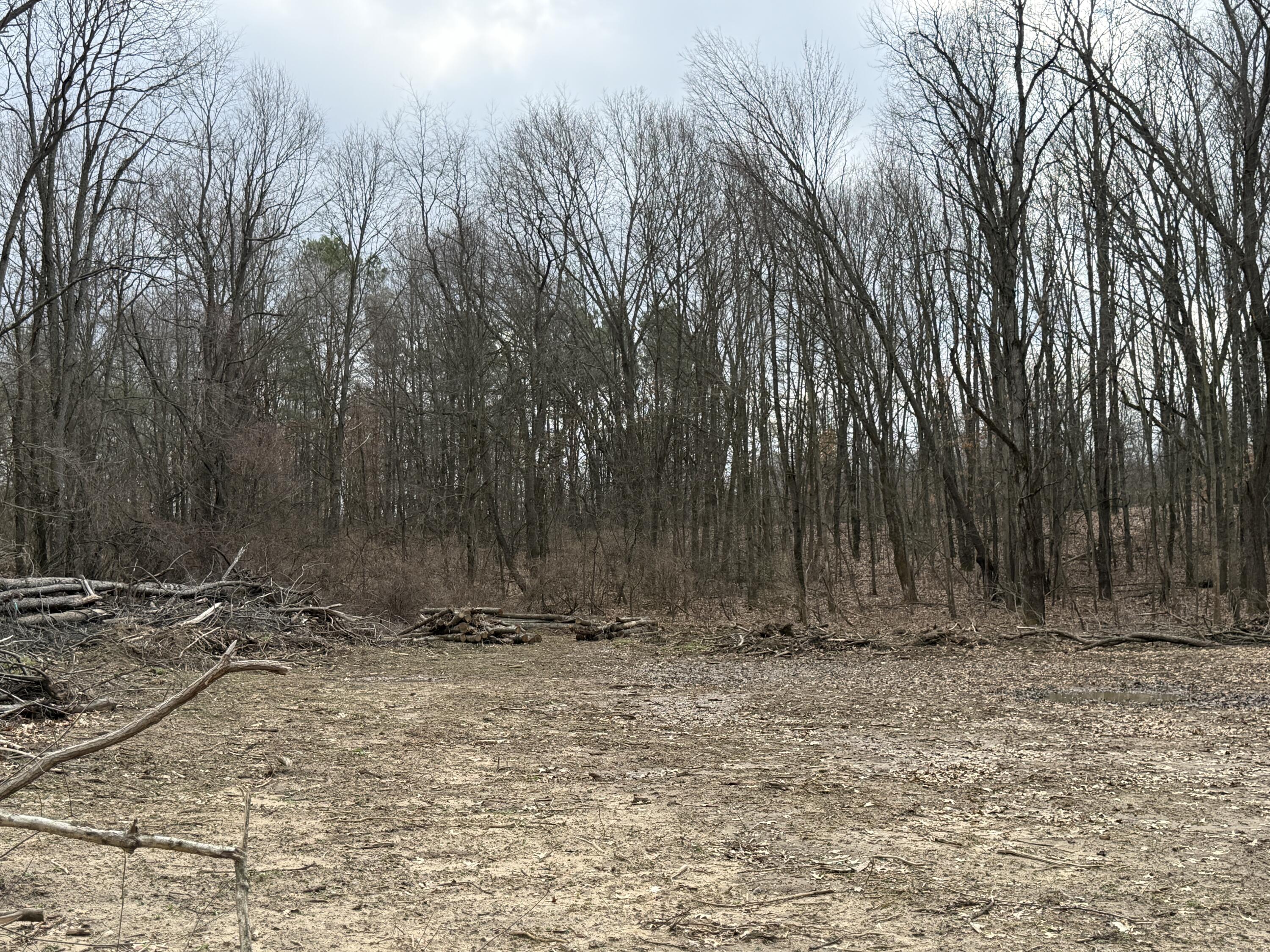 V/l Yawger Road Battle Creek, MI 49017 - Photo 4 of 6 IMG_1314