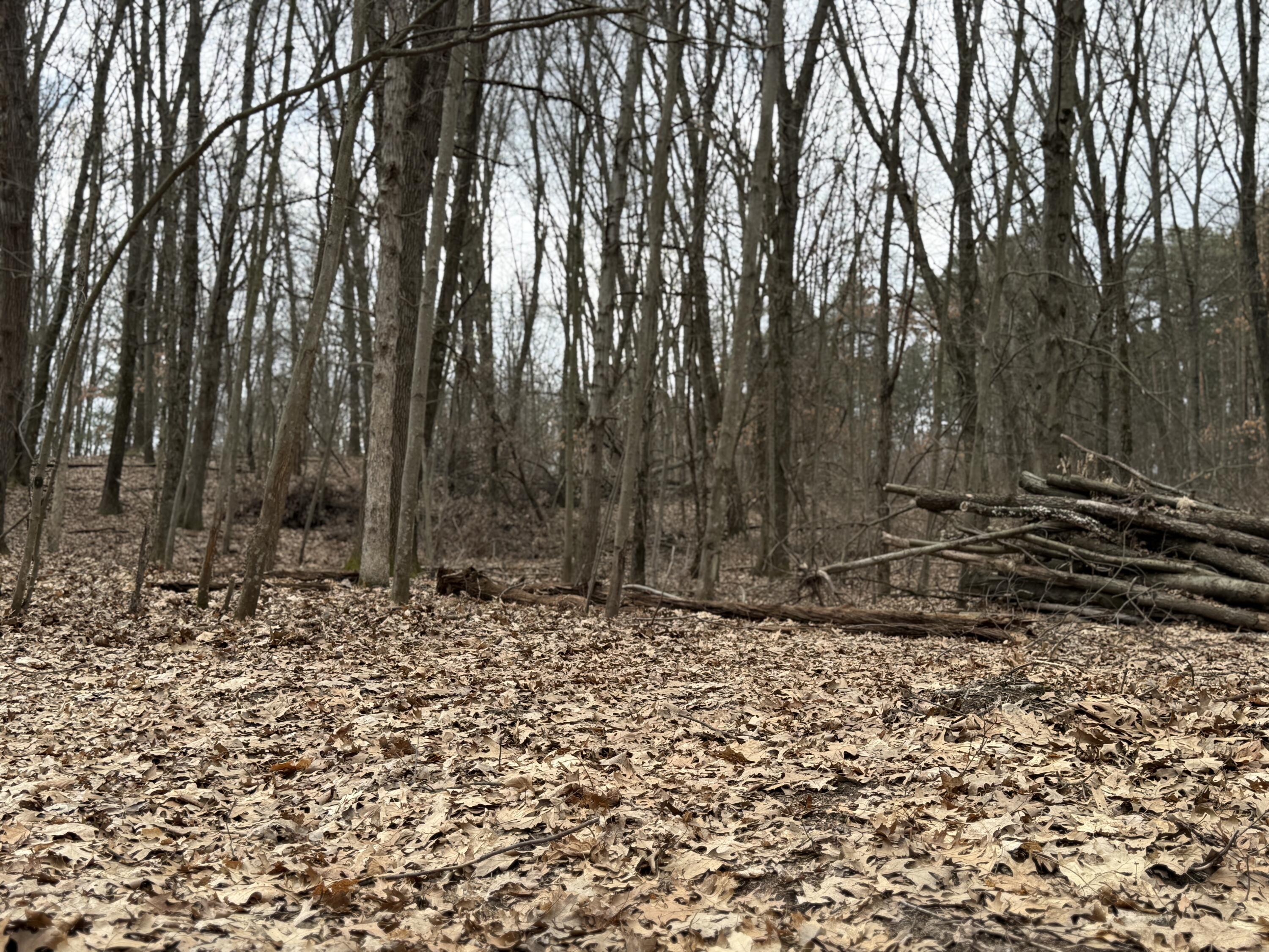 V/l Yawger Road Battle Creek, MI 49017 - Photo 5 of 6 IMG_1315