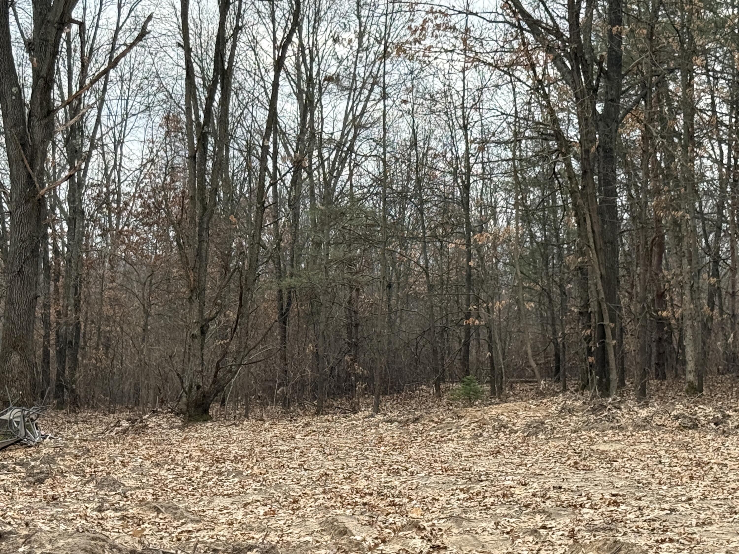 V/l Yawger Road Battle Creek, MI 49017 - Photo 6 of 6 IMG_1324