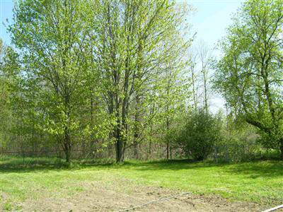 9334 Washburn Road Columbiaville, MI 48421 - Photo 7 of 11 20231683-6.JPG