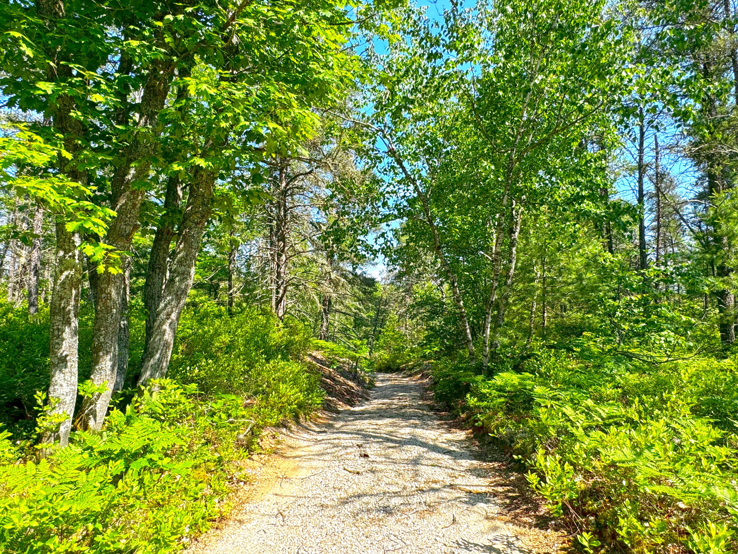 13907 North Whitefish Point Road Paradise, MI 49768 - Photo 7 of 15 Gallery Image 7