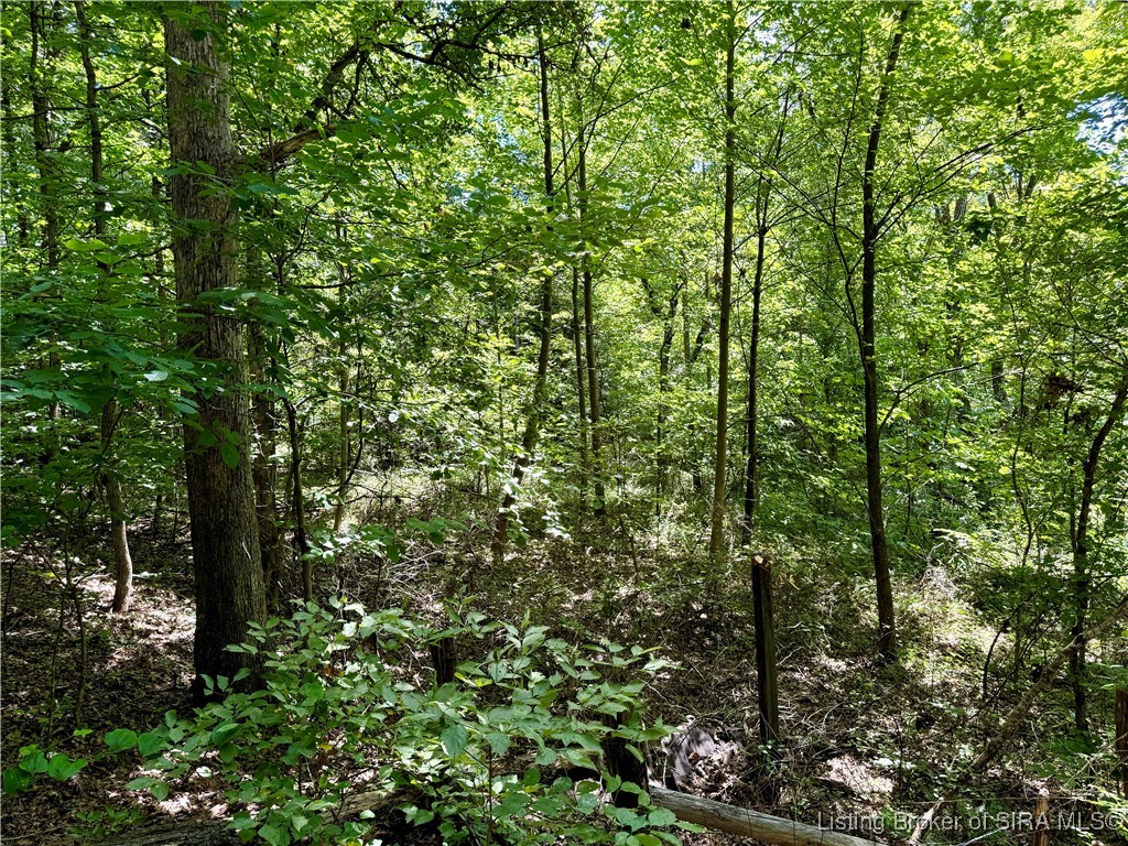 28022 Doolittle Mills Road English, IN 47118 - Photo 40 of 81
