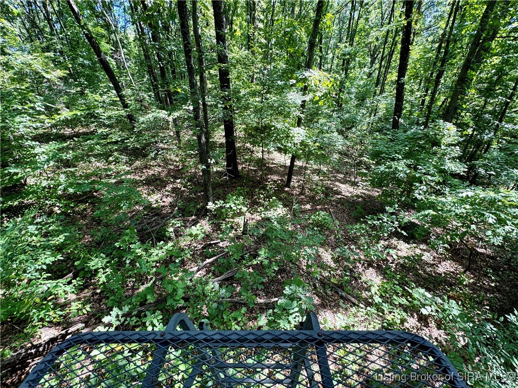 28022 Doolittle Mills Road English, IN 47118 - Photo 45 of 81