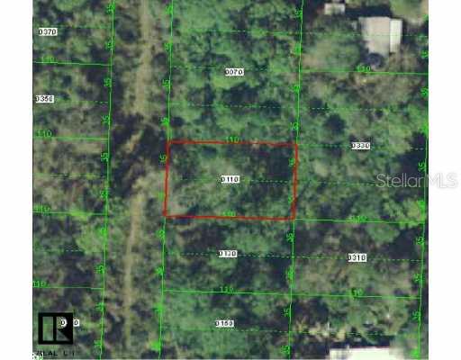 11 Wabayo Street New Port Richey, FL 34654 - Photo 1 of 1 a view of a forest