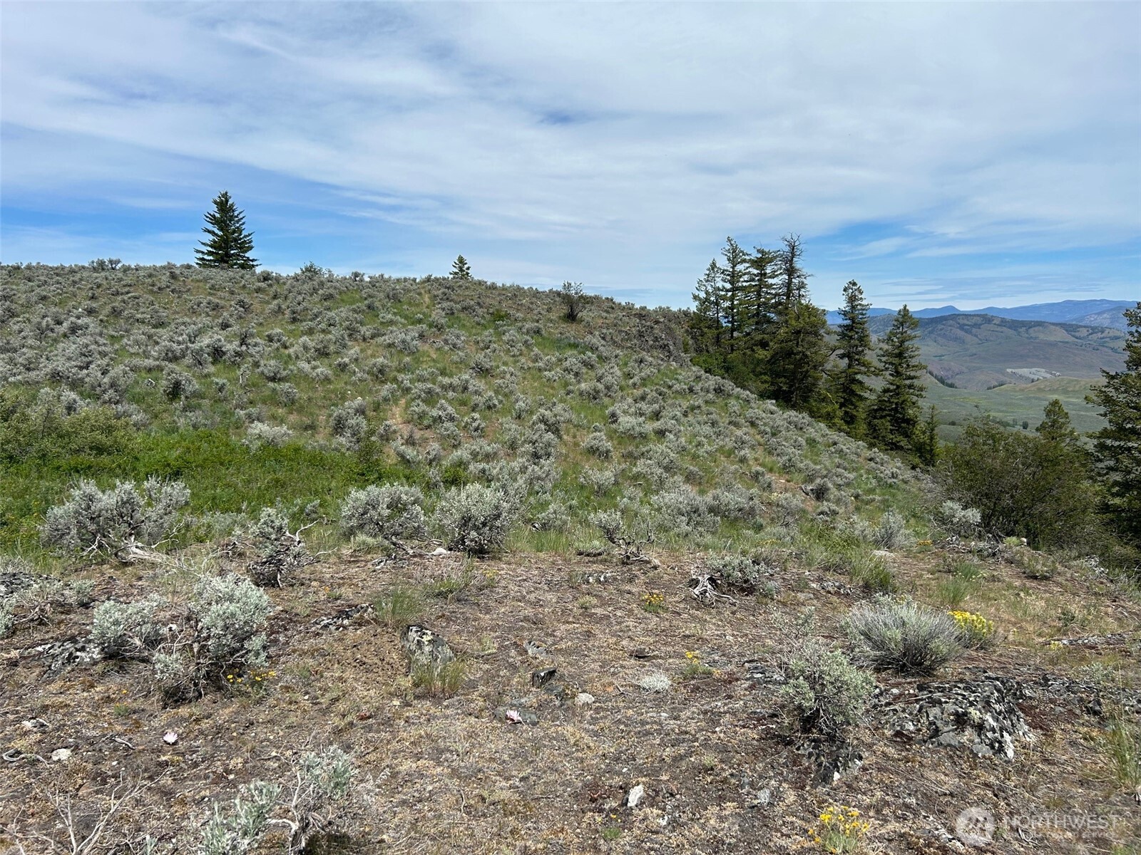 1 Ellemeham Mountain Road Loomis, WA 98827 - Photo 5 of 8 a view of a big yard with a house