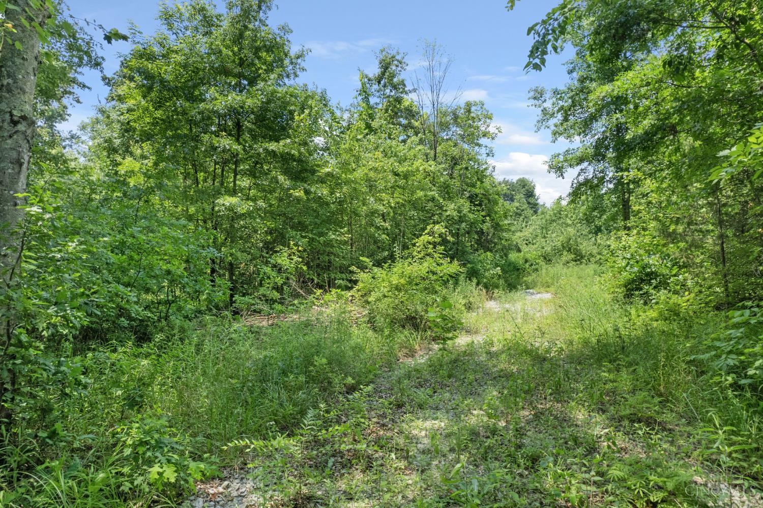 2858 Bigam Road Batavia, OH 45103 - Photo 6 of 20 Gallery Image 6