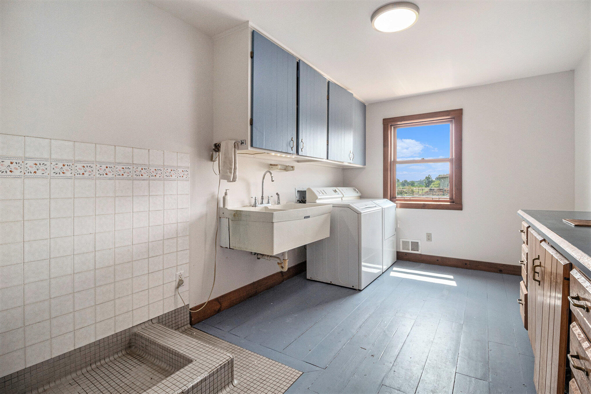 10989 Scio Church Road Chelsea, MI 48118 - Photo 25 of 80 Laundry Room w/Dog Washing Station