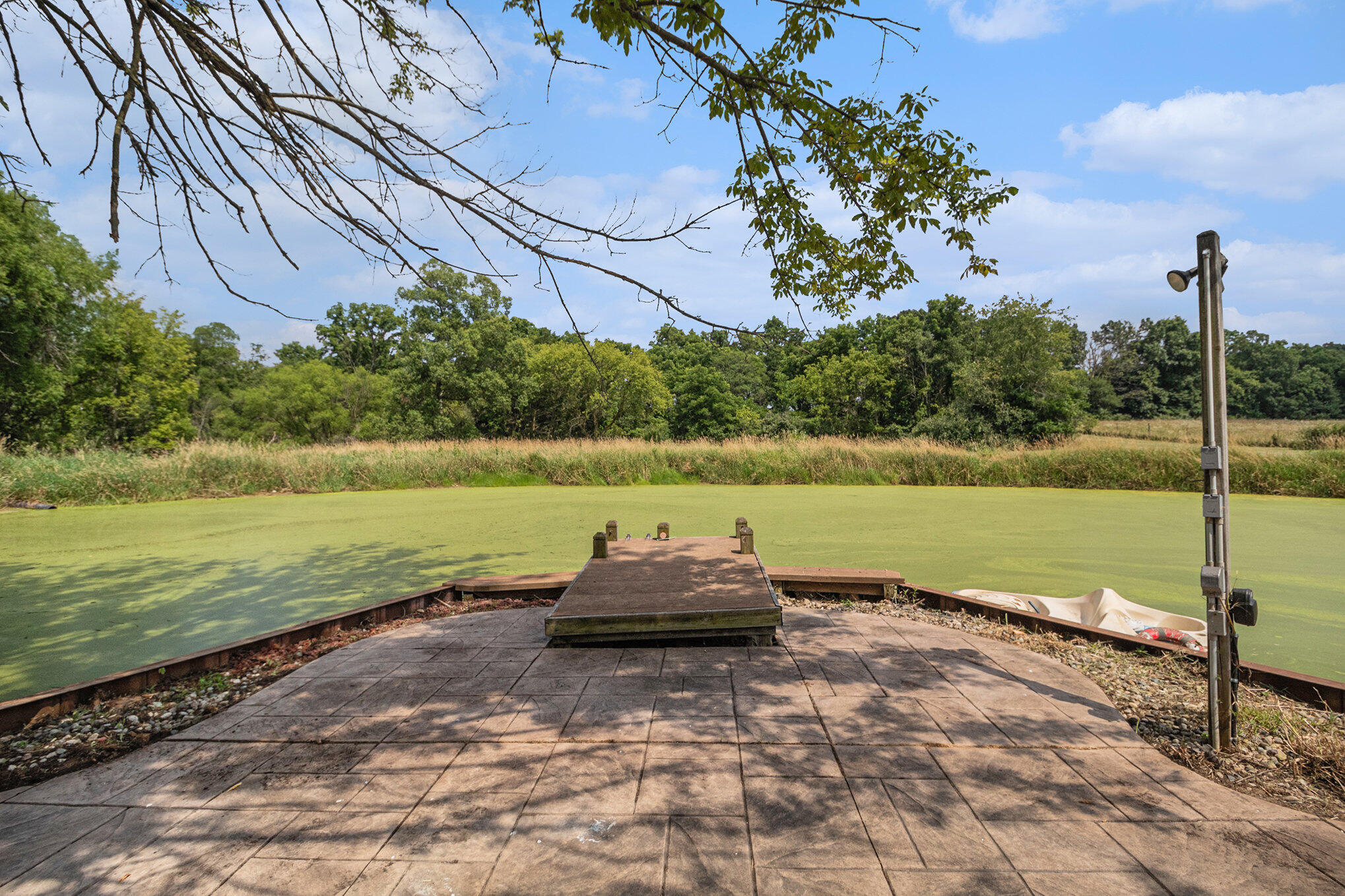 10989 Scio Church Road Chelsea, MI 48118 - Photo 52 of 80 Pond