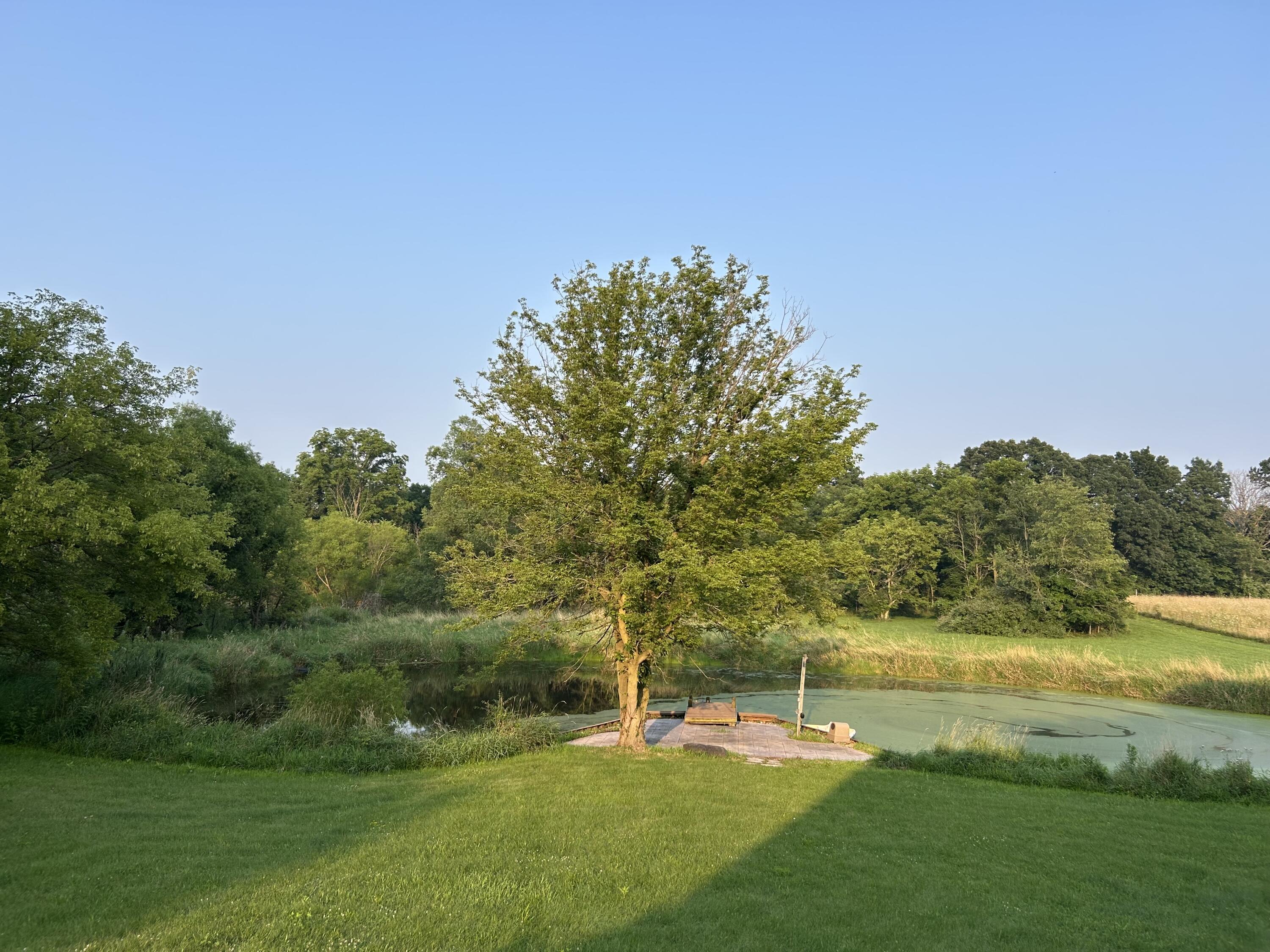 10989 Scio Church Road Chelsea, MI 48118 - Photo 54 of 80 IMG_3716