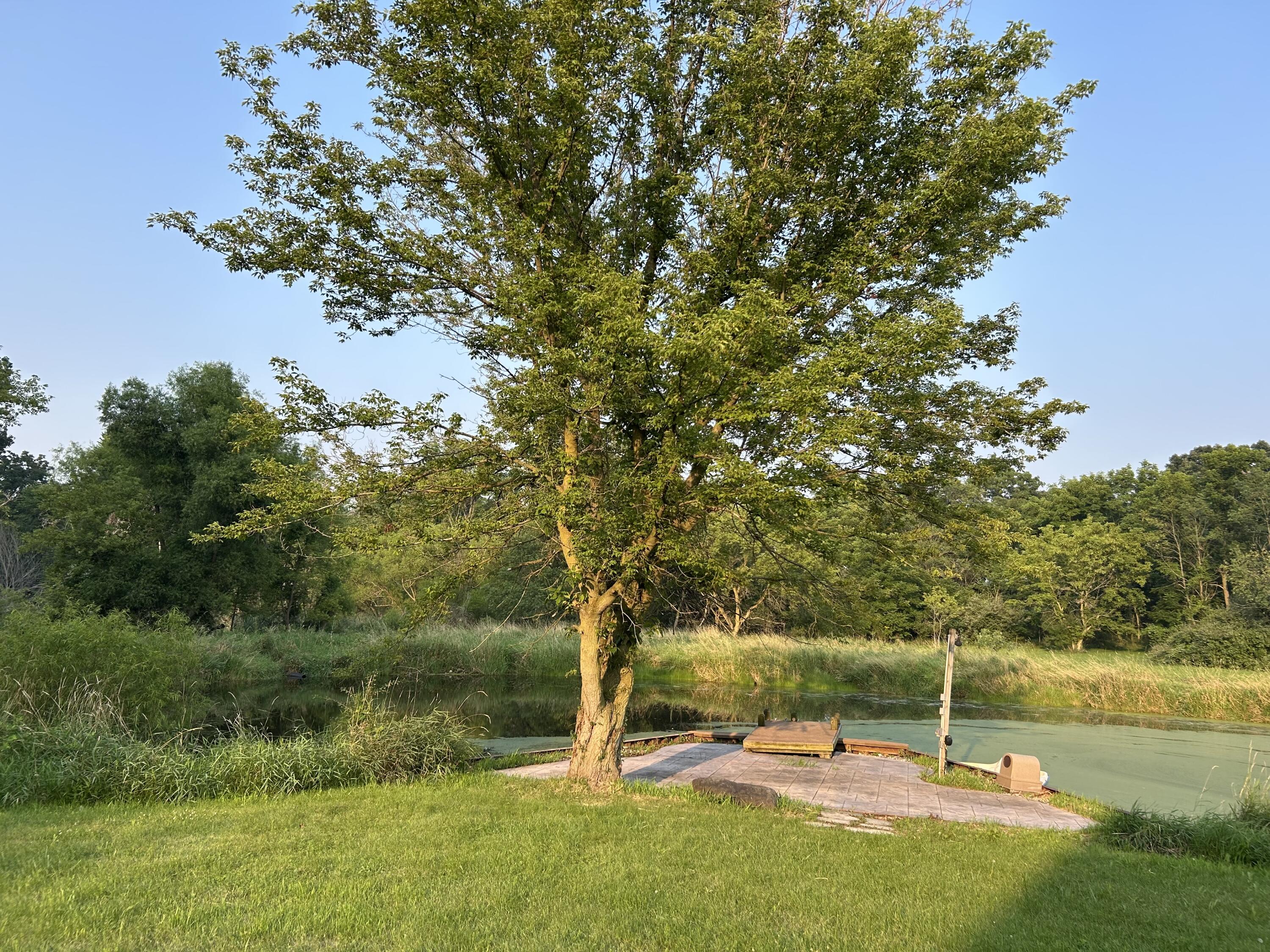 10989 Scio Church Road Chelsea, MI 48118 - Photo 55 of 80 IMG_3717