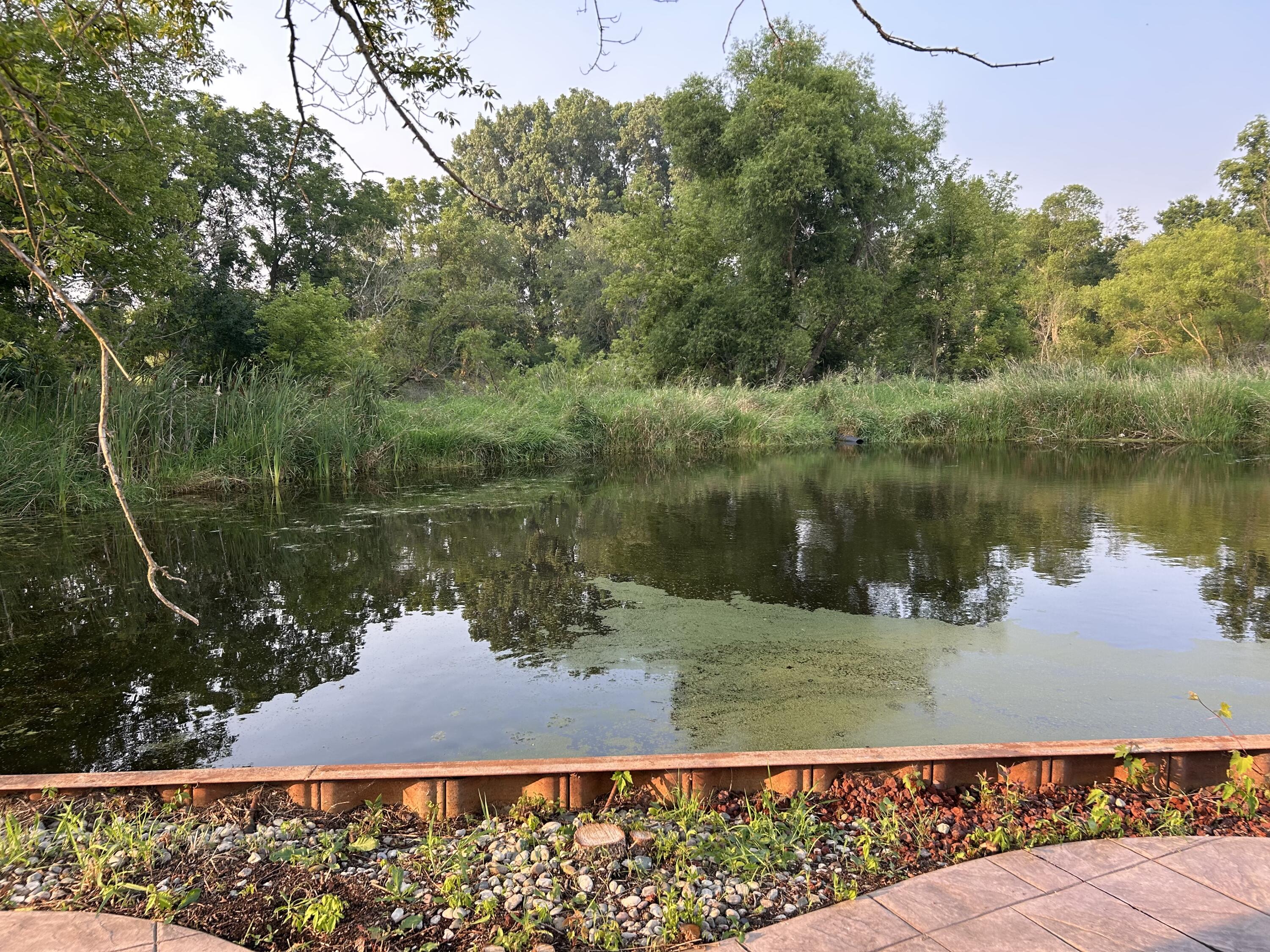 10989 Scio Church Road Chelsea, MI 48118 - Photo 56 of 80 IMG_3723