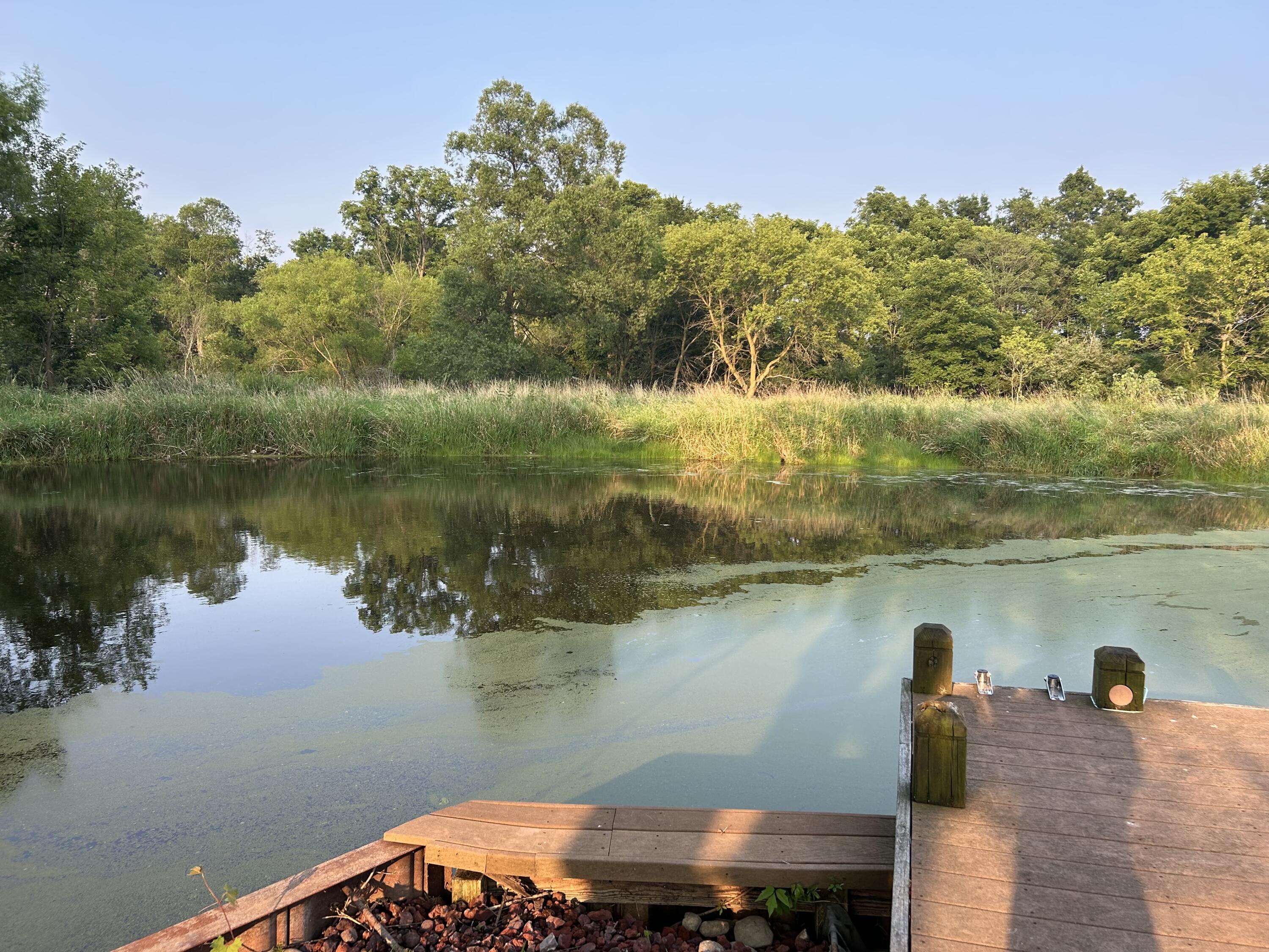 10989 Scio Church Road Chelsea, MI 48118 - Photo 57 of 80 IMG_3721