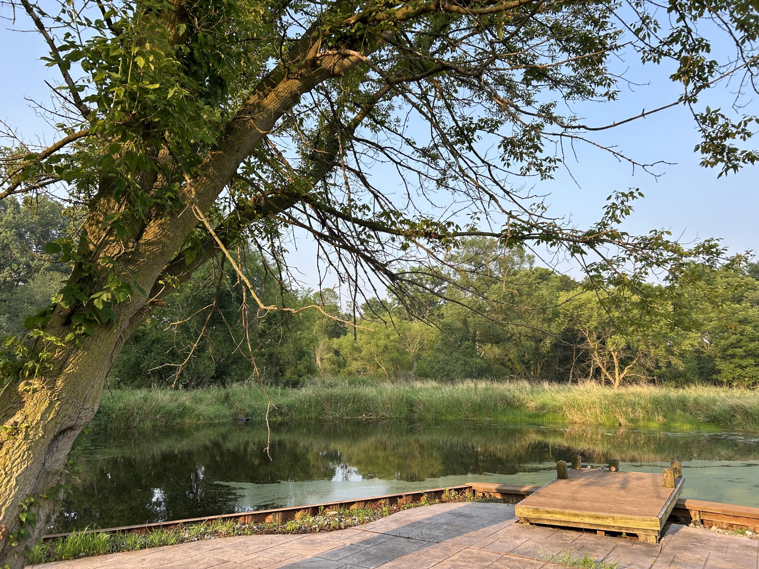 10989 Scio Church Road Chelsea, MI 48118 - Photo 58 of 80 IMG_3719