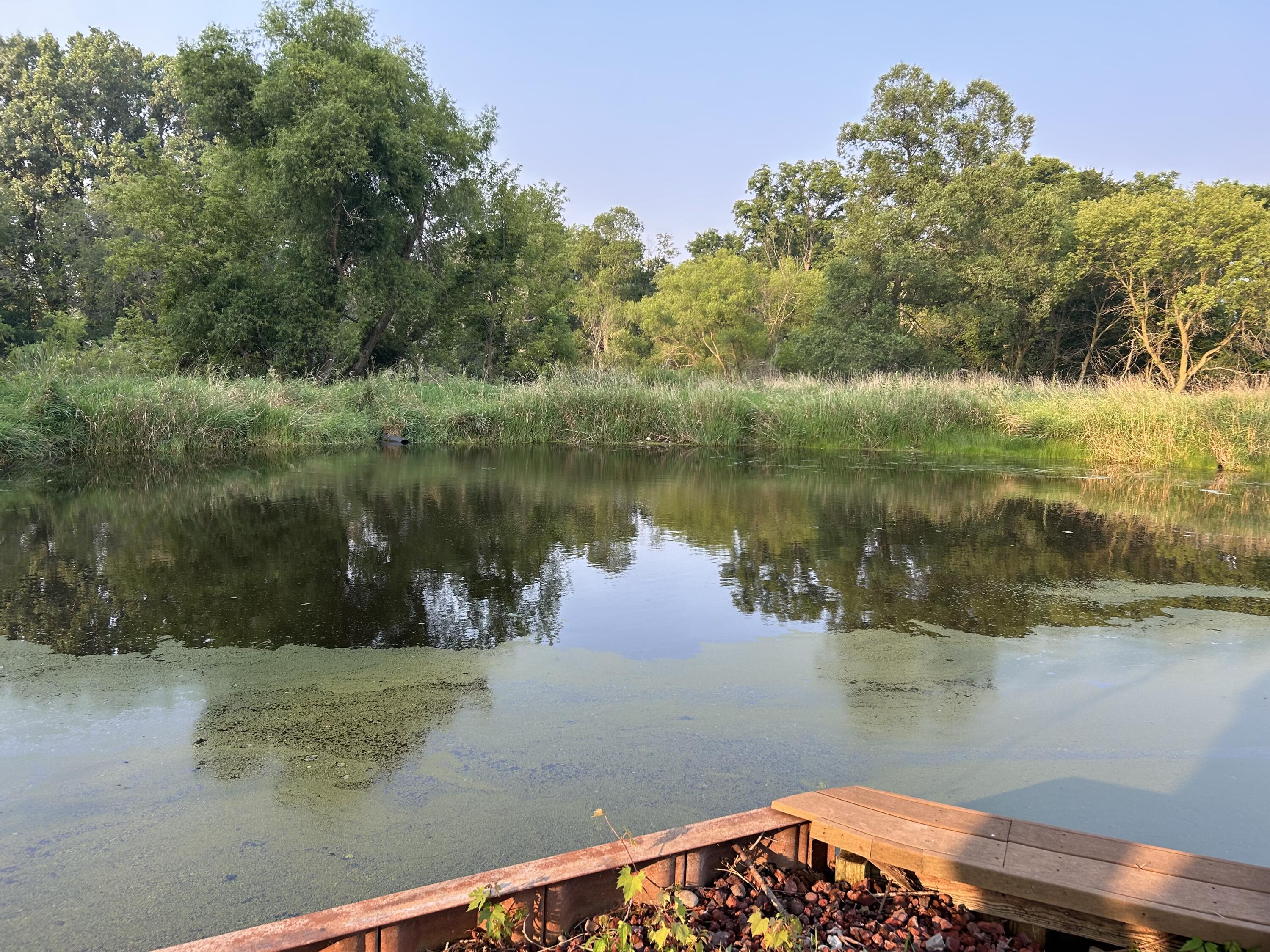 10989 Scio Church Road Chelsea, MI 48118 - Photo 59 of 80 IMG_3722