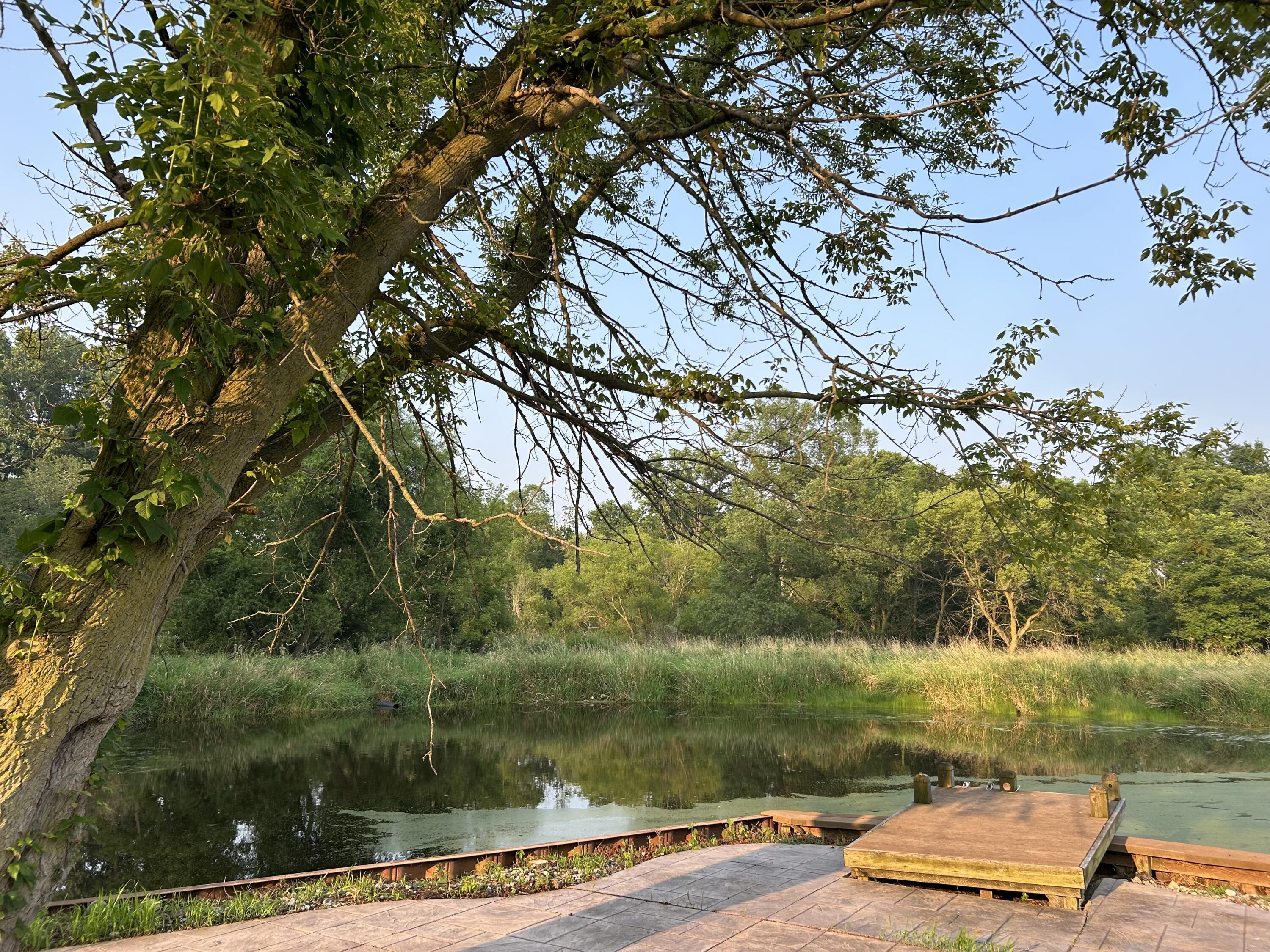 10989 Scio Church Road Chelsea, MI 48118 - Photo 60 of 80 IMG_3720