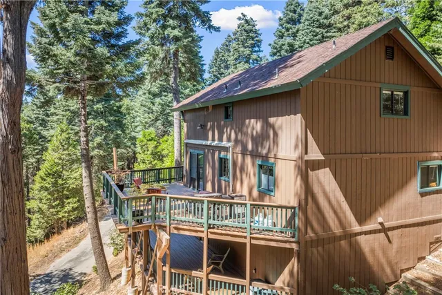 a view of a tree in the forest