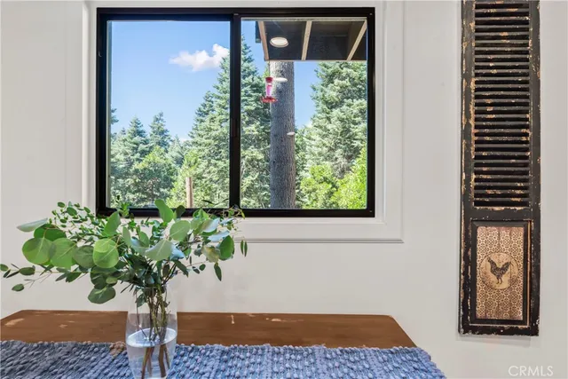 a potted plant in front of a door
