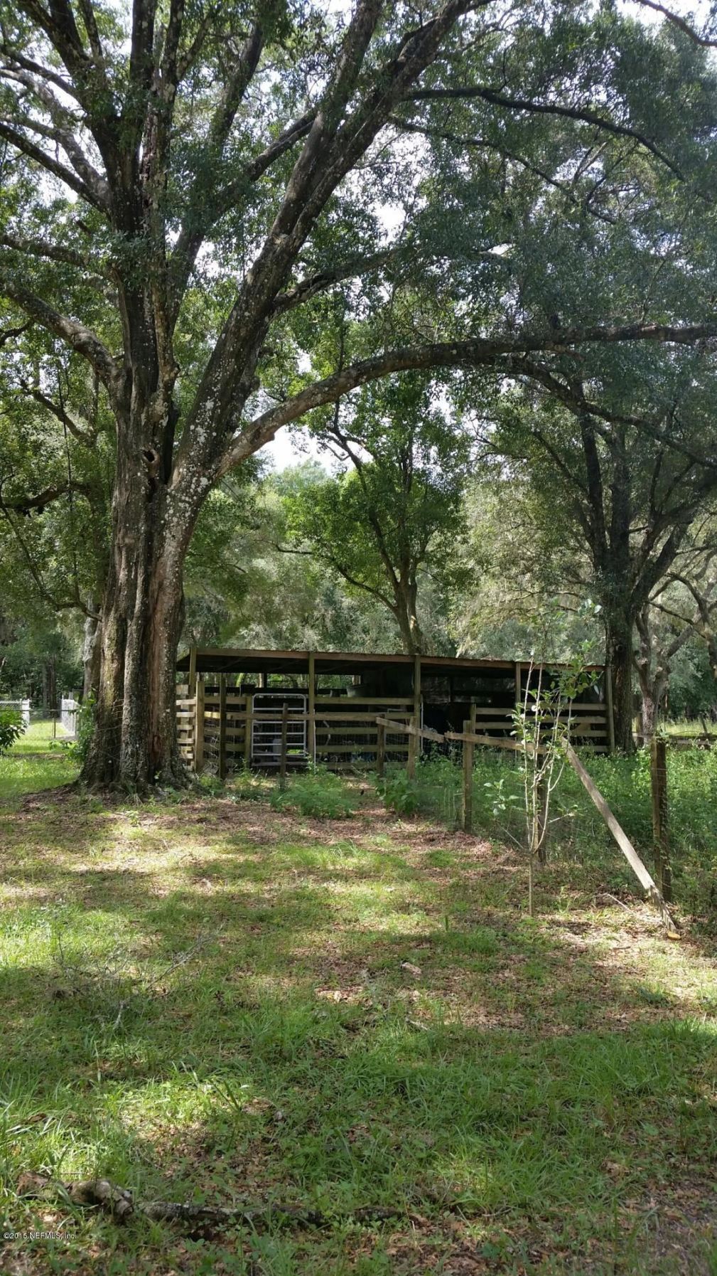 468 Minshew Road Pierson, FL 32180 - Photo 9 of 13 20150925_134254_resized