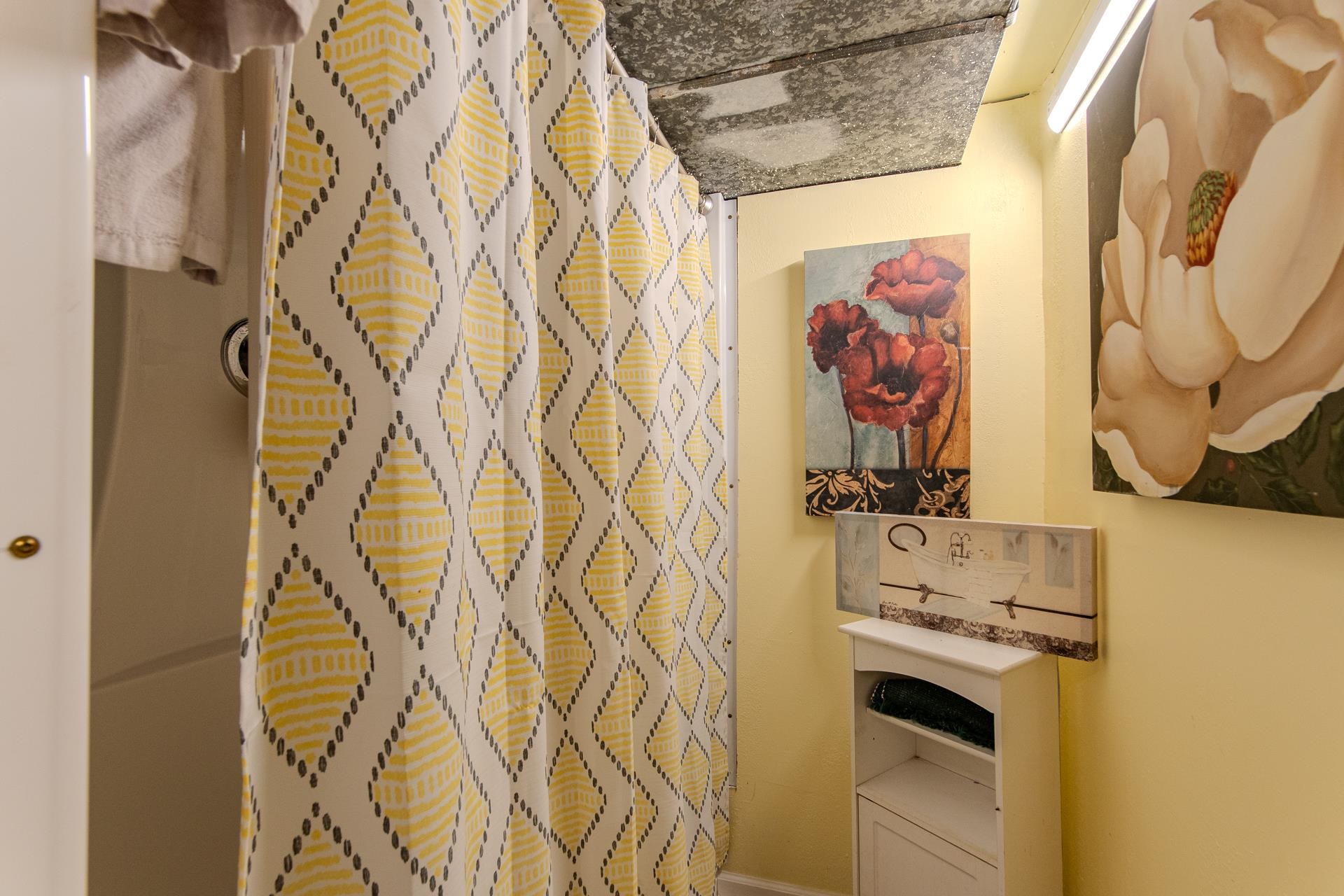 3540 Damon Road Michie, TN 38357 - Photo 21 of 40 a utility room with a wall painting and a shower