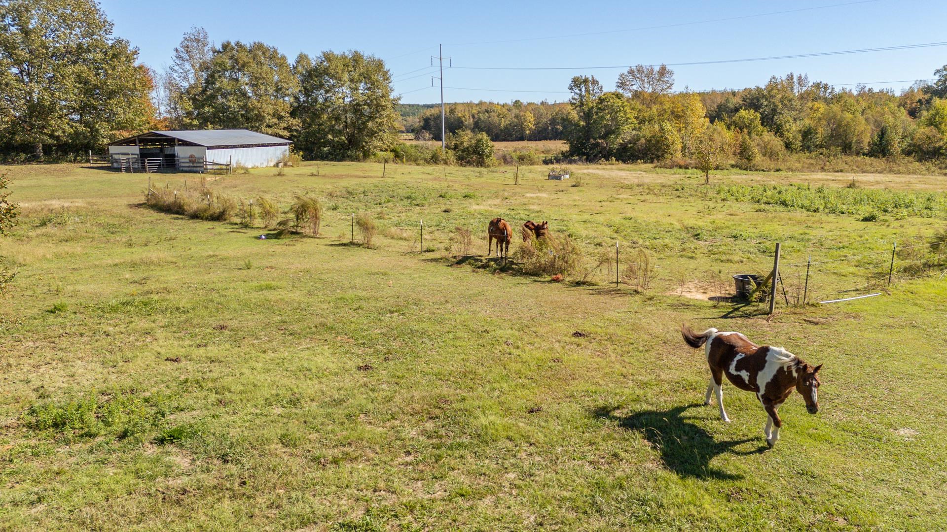 3540 Damon Road Michie, TN 38357 - Photo 37 of 40 a view of a lake with a house