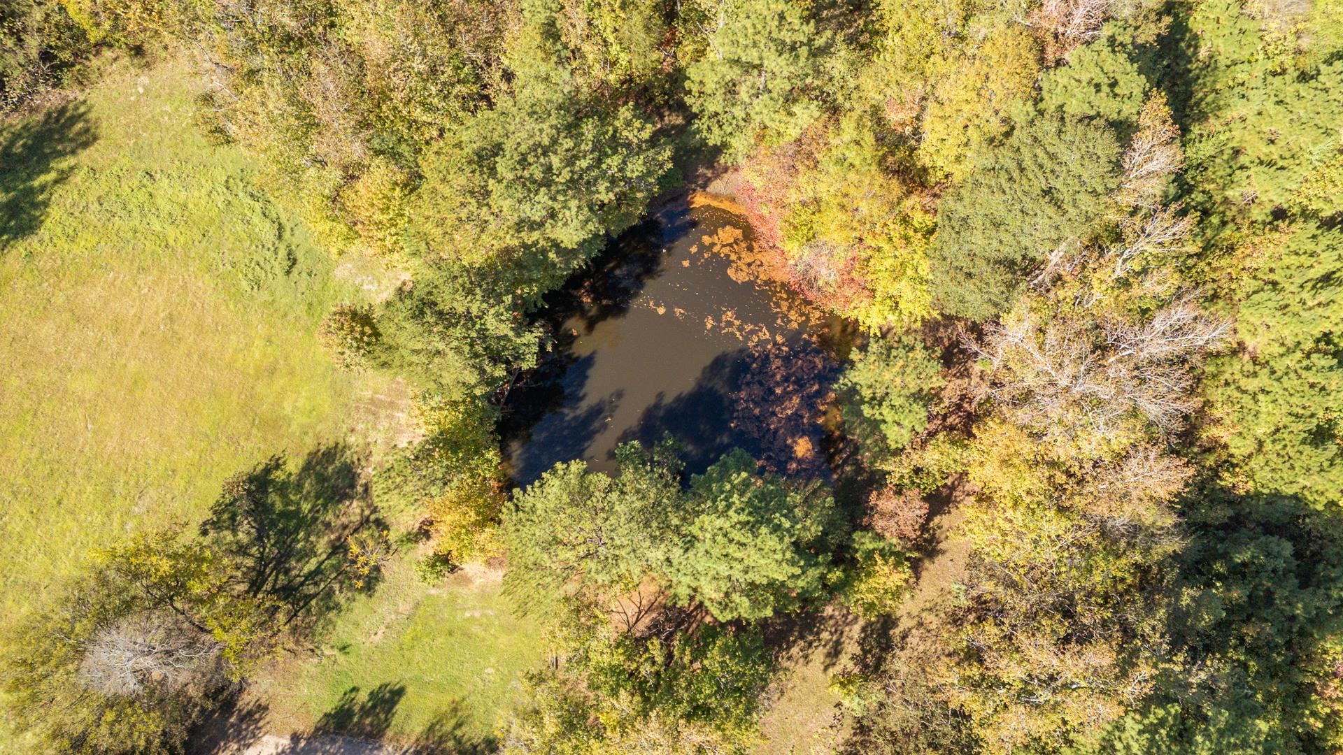3540 Damon Road Michie, TN 38357 - Photo 40 of 40 a view of a yard with swimming pool
