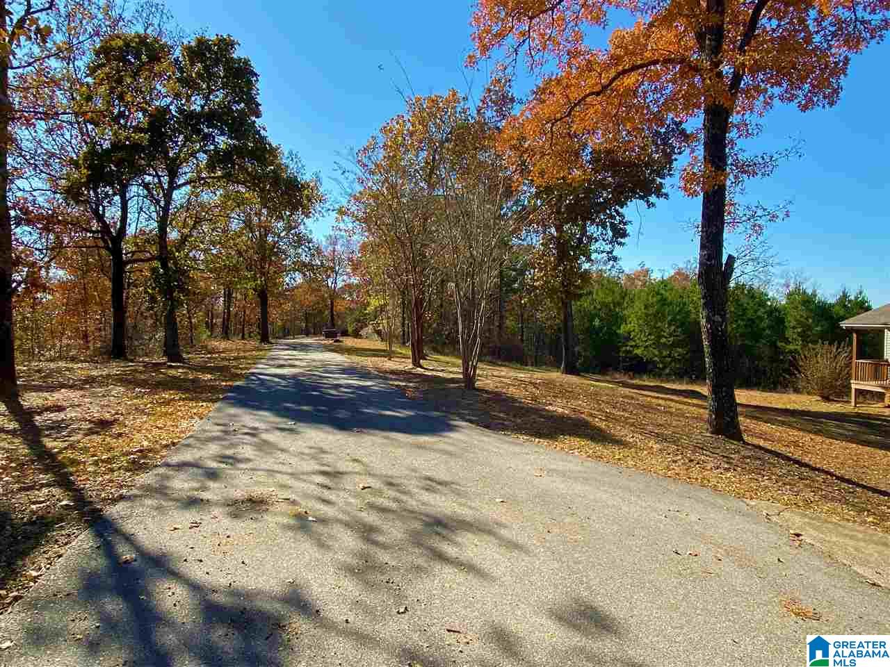 7541 Springer Road McCalla, AL 35111 - Photo 4 of 43