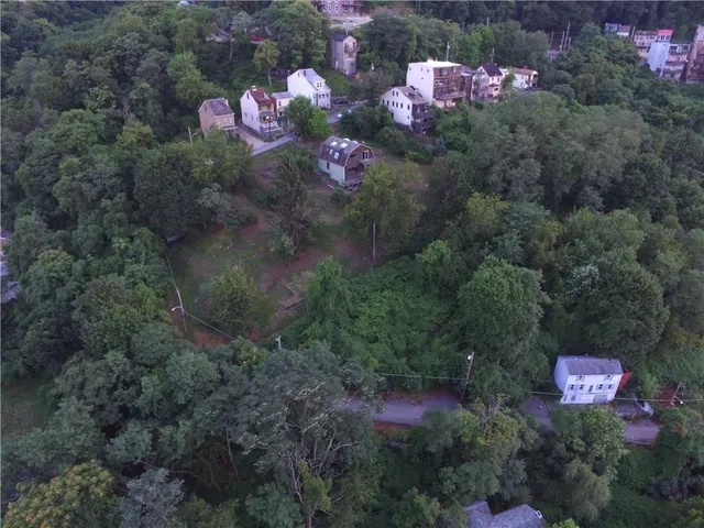 a view of a bunch of flowers