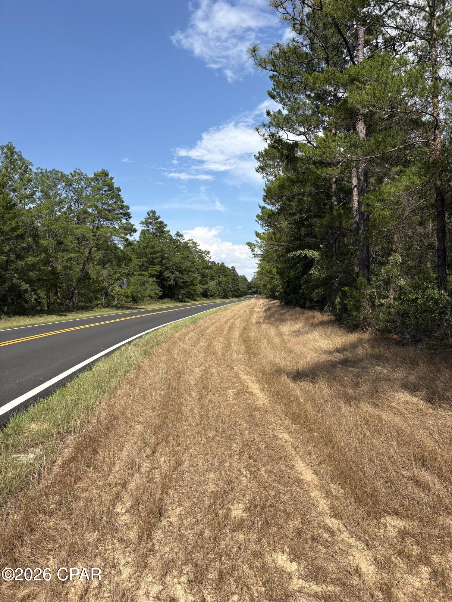 Lot 2 Dumajack Road Chipley, FL 32428 - Photo 2 of 33