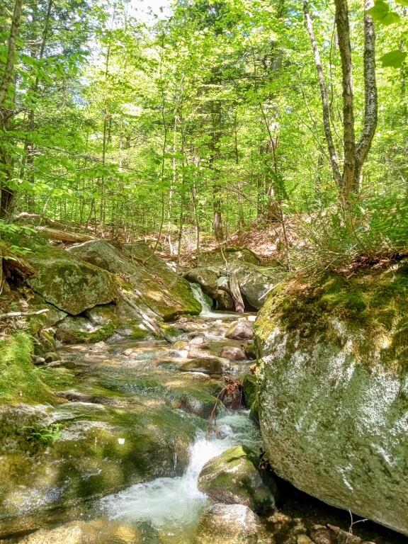 2401 Long Falls Dam Road New Portland, ME 04961 - Photo 1 of 6 01-Photo 1