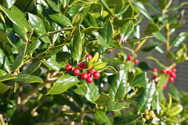 $1,725 | 759 Putney Hill Road, Zebulon, NC 27597