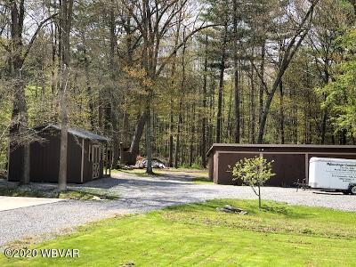 2769 Rauchtown Road Jersey Shore, PA 17740 - Photo 9 of 48 Gallery Image 9