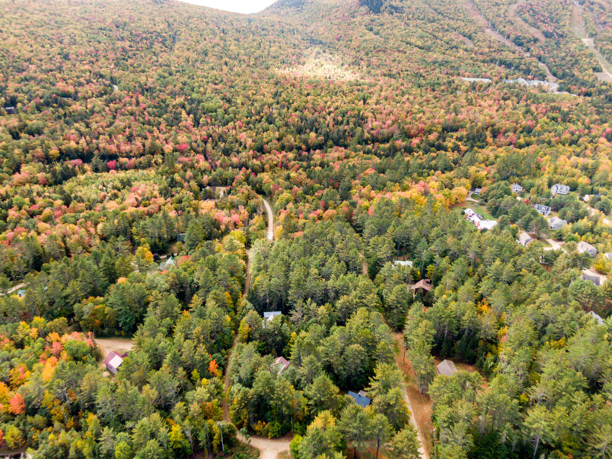 9 Coombs Road Newry, ME 04261 - Photo 13 of 14 Coombs Lots -10