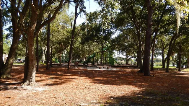 a view of road with trees