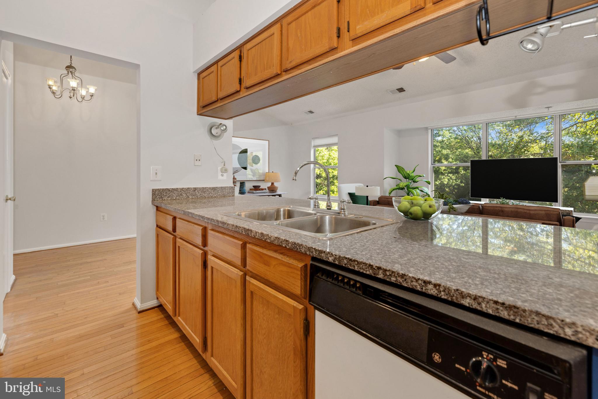 2806 Clear Shot Drive, Unit 929 Silver Spring, MD 20906 - Photo 4 of 25