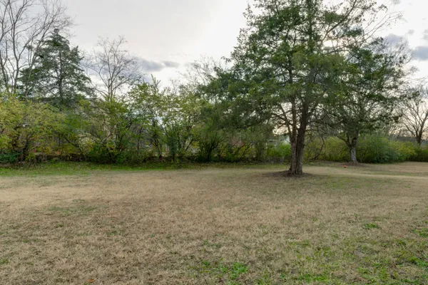 a view of a yard with a trees