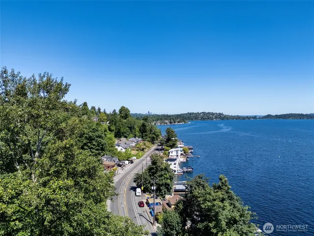a view of a yard with plants and large trees