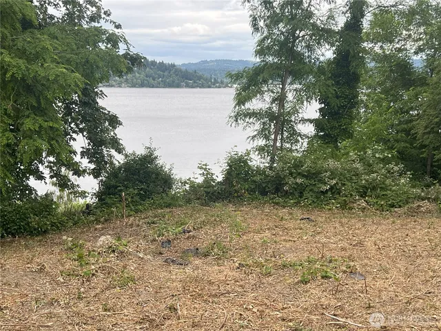a view of empty field with trees