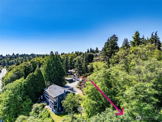 a view of a yard with plants and large trees