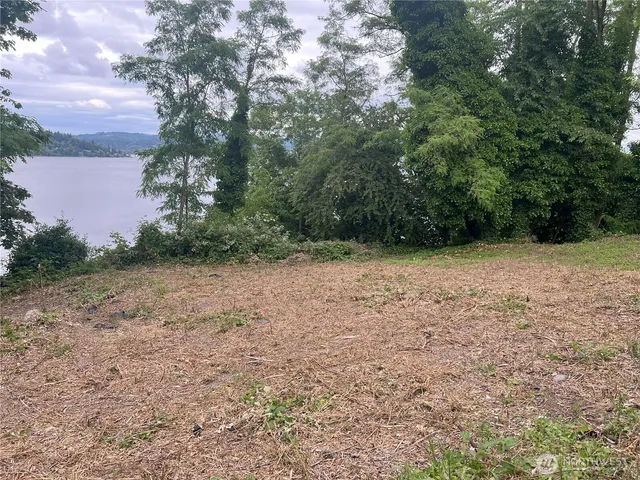 a view of backyard with green space