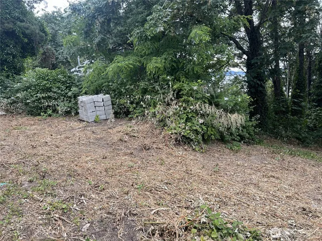 a view of backyard with green space