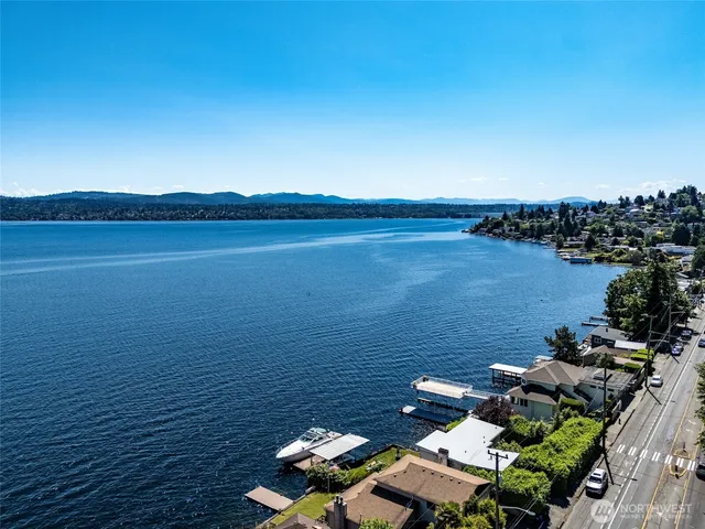 a view of a flower in a garden