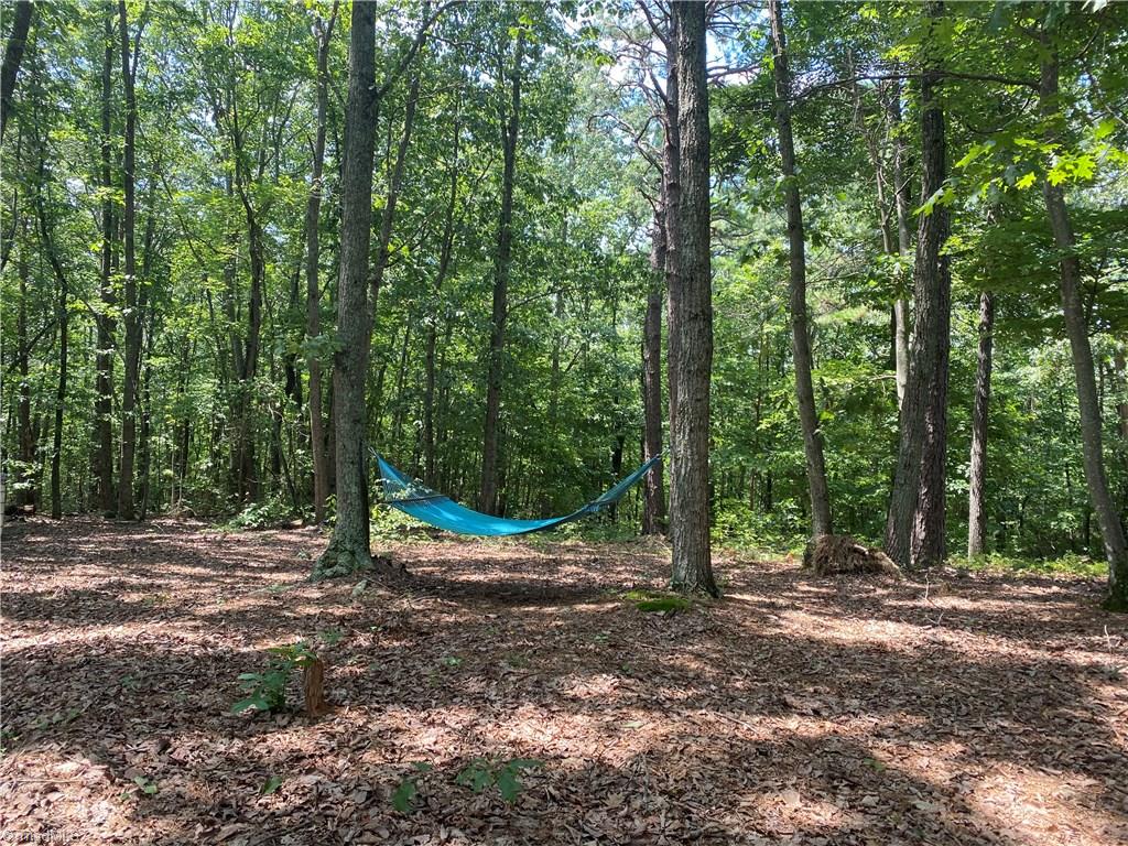 338 Key Road Ararat, NC 27007 - Photo 26 of 30 Gallery Image 26