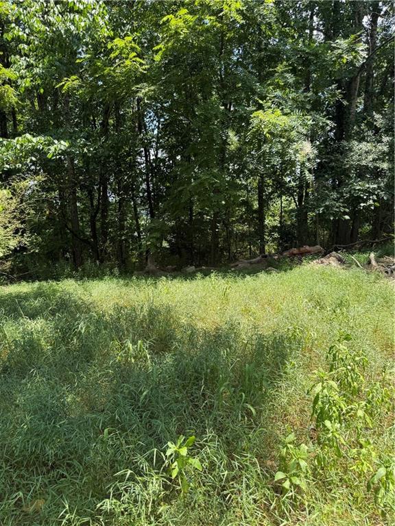 217 Bagwell Garland Road Canton, GA 30115 - Photo 5 of 14