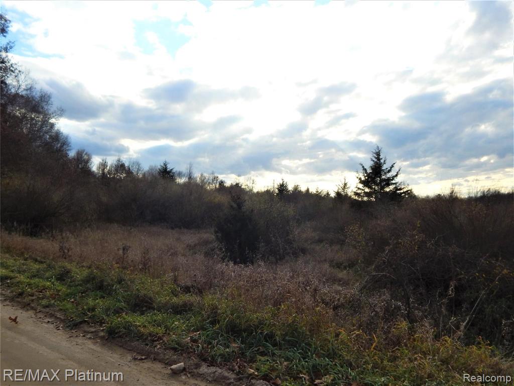 0 Bentley Lake Road Pinckney, MI 48169 - Photo 8 of 24