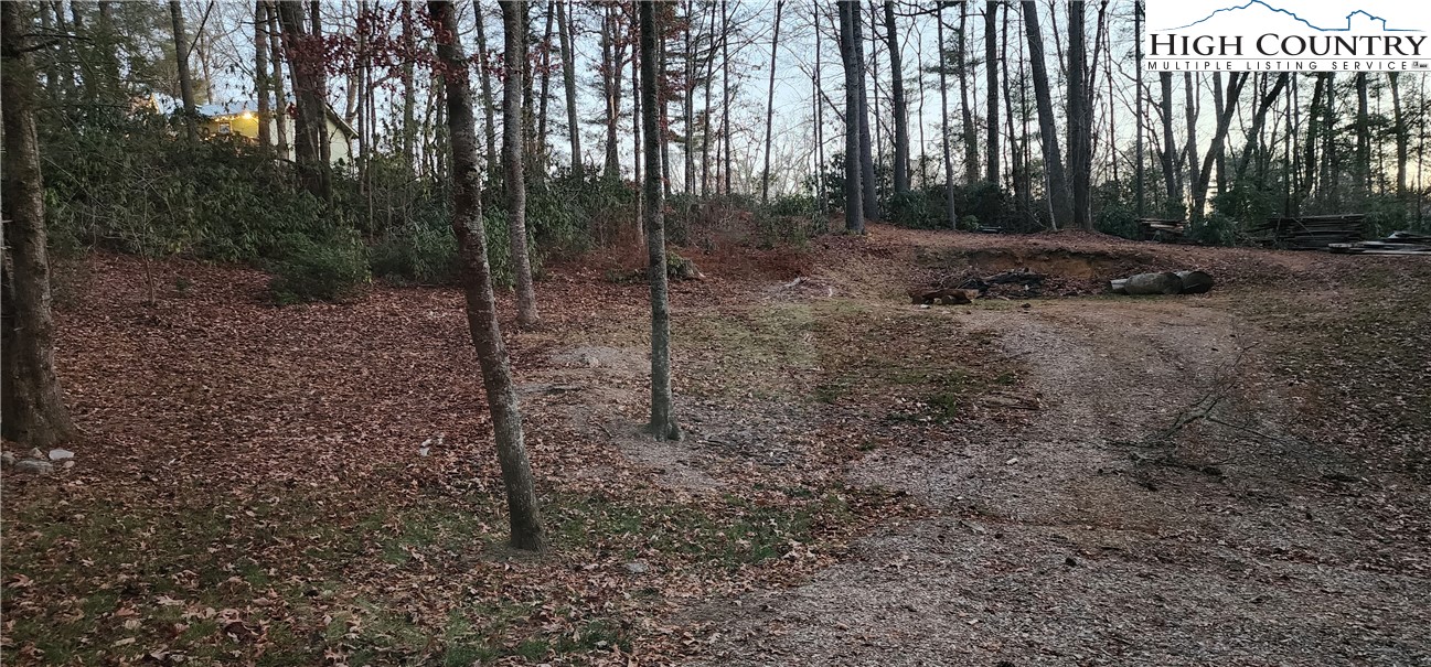 Tdb Pinewood Circle Fleetwood, NC 28626 - Photo 4 of 4 a view of a backyard with trees