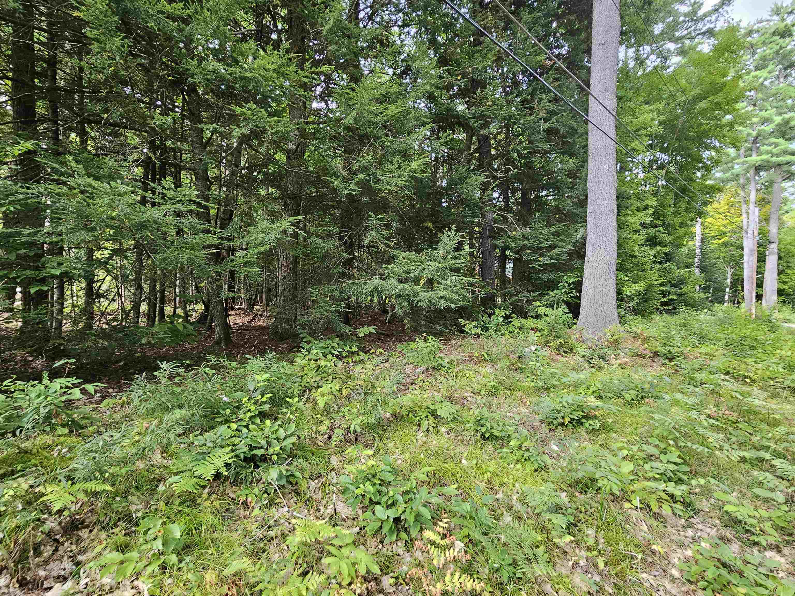 0 Valley Road Woodsville, NH 03785 - Photo 1 of 13 Gallery Image 1