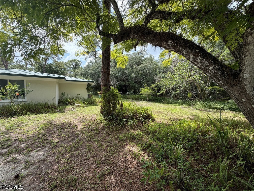 18251 Persimmon Ridge Road Alva, FL 33920 - Photo 10 of 16