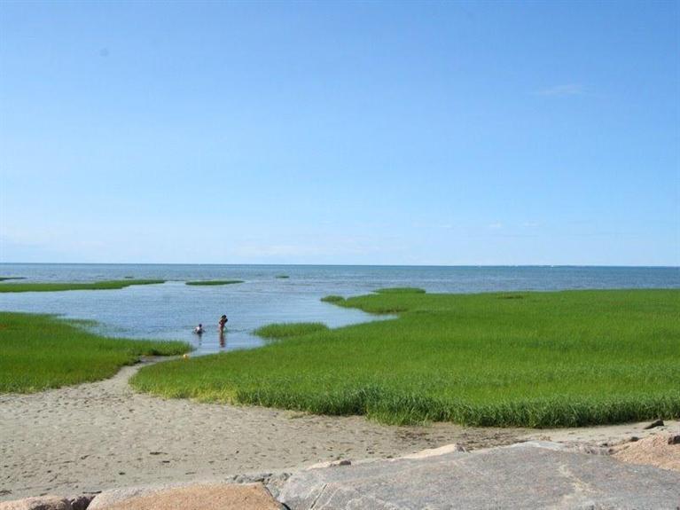 649 Great Fields Road Brewster, MA 02631 - Photo 4 of 27 Additional Photo