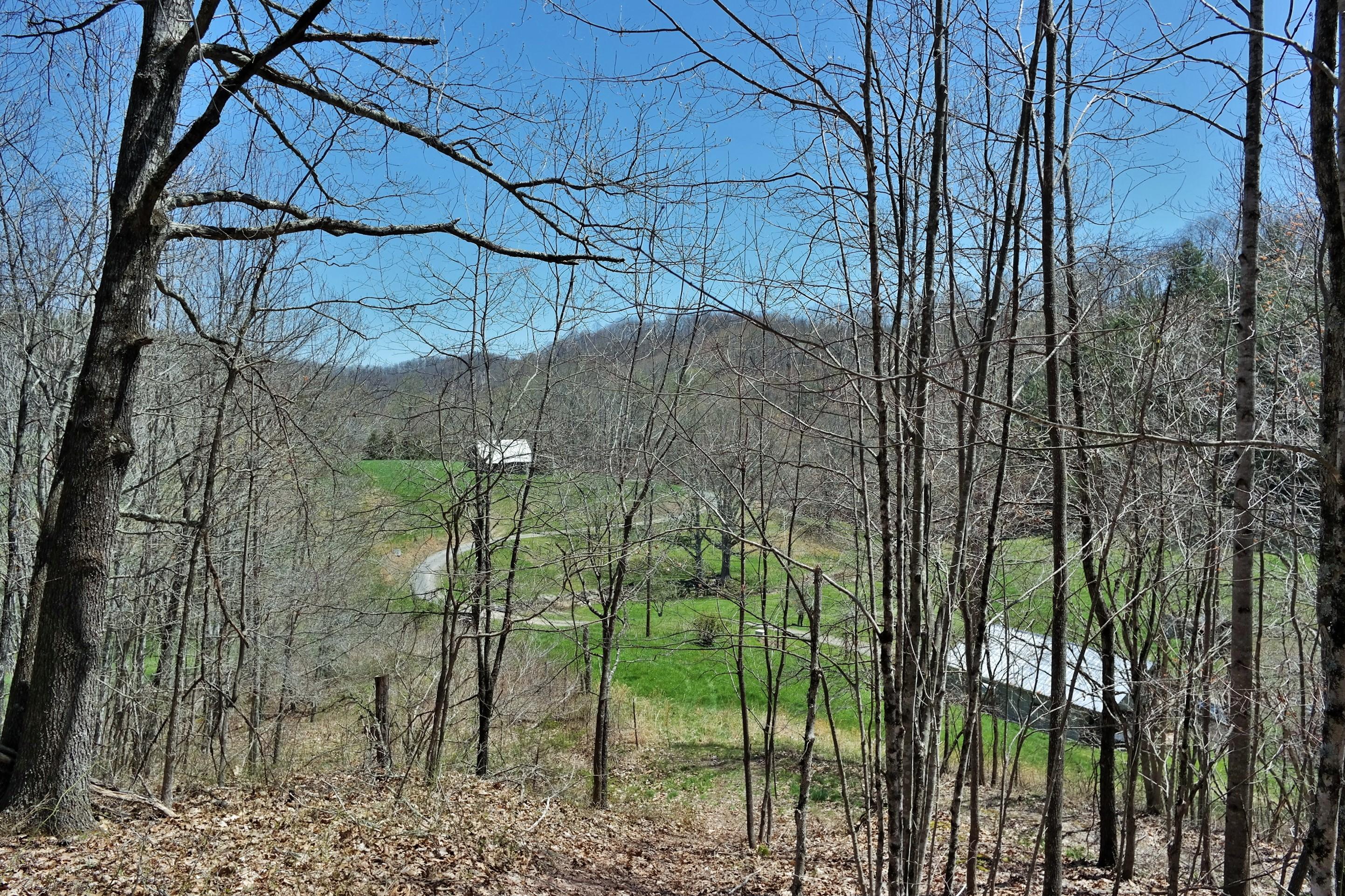 3678 Snake Run Road Alderson, WV 24910 - Photo 61 of 124 Gallery Image 61